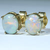 Stunning Natural Opal Colours - 18k Gold Opal Studs - Australian Opal Shop 186 Brisbane Rd Arundel Gold Coast