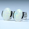 Natural Australian White Opal Silver Stud Earrings - Australian Opal Shop Gold Coast