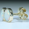 Coober Pedy White Opal Gold Earrings (7 x 6mm) Code EE113