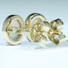 Coober Pedy White Opal  Gold Earrings (7 x 6mm) Code EE114