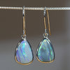 Silver Opal Earrings - Australian Opal Shop - 186 Brisbane Rd - Gold Coast