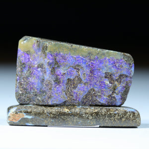 Natural Australian Queensland Boulder Opal Specimen