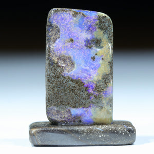 Natural Australian Boulder Opal Specimen on Ironstone Stand