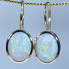 Gold Opal Earrings - Australian Opal Shop - 186 Brisbane Rd - Gold Coast - Ql