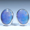 Lightning Ridge Solid Opal Silver Earrings (9.5mm x 7mm) Code - V115