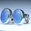 Lightning Ridge Solid Opal Silver Earrings (9.5mm x 7mm) Code - V115