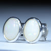 White Opal Studs - Australian Opal Shop - 186 Brisbane Rd - Gold Coast - Qld