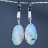 Australian Boulder Opal Silver Earring (14mm x 8mm) Code - V83