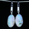 Australian Boulder Opal Silver Earring (14mm x 8mm) Code - V83