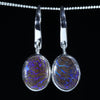 Australian Boulder Opal Matrix Silver Earrings (12mm x 9mm) Code - V124