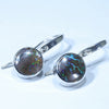 Australian Boulder Opal Matrix Silver Earrings (11mm x 11mm) Code - V126