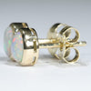 Coober Pedy Opal Gold Earrings (6 x 5.5mm) Code W61