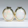 Coober Pedy White Opal Gold Earrings (6 x 5.5mm) Code W76