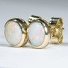 Coober Pedy White Opal Gold Earrings (6 x 5.5mm) Code W76