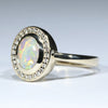 10k Gold - Solid Queensland Pipe Opa - Natural Diamonds