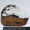 Natural Boulder Opal Polished Specimen