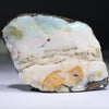 Natural Boulder Opal Polished Specimen