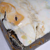 Natural Boulder Opal Polished Specimen