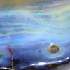 Natural Boulder Opal Polished Specimen