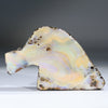 Natural Boulder Opal Polished Specimen