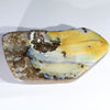 Natural Boulder Opal Polished Specimen