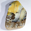 Natural Boulder Opal Polished Specimen