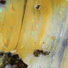 Natural Boulder Opal Polished Specimen