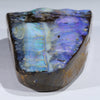 Natural Boulder Opal Polished Specimen