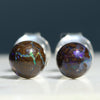 Australian Boulder Opal Matrix Silver Earring Studs