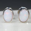 Natural Australian White  Opal  Silver Stud Earring Code -SE493