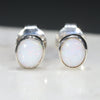 Natural Australian White  Opal  Silver Stud Earring Code -SE485