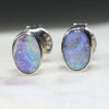 Natural Australian Boulder Opal  Silver Stud Earring