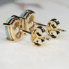 Natural Australian Crystal Opal Gold Earring Studs