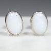 Natural Australian White  Opal  Silver Stud Earring