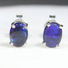 Natural Australian Black Opal  Silver Stud Earring Code -B03