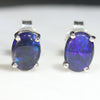 Natural Australian Black Opal  Silver Stud Earring Code -B03