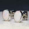 Natural Australian White  Opal  Silver Stud Earring Code -SE521