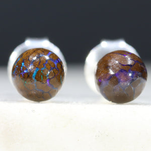 Australian Opal Earring Studs