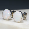 Natural Australian White  Opal  Silver Stud Earring Code -SE287