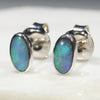 Australian Boulder Opal  Silver Stud Earring Code -SE274