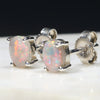 Australian Solid Opal  Silver Stud Earring Code -B01