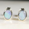 Australian Opal Studs