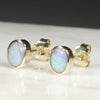 Natural Australian Boulder Opal Gold Earring Studs (4.5 x 3.5mm) Code GE38