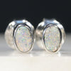 Natural Australian Boulder Opal  Silver Stud Earring Code -SE306