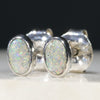 Natural Australian Boulder Opal  Silver Stud Earring Code -SE306