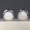 Beautiful White Opal Studs 