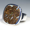 Extraordinary Natural Opal Fossil Pattern 