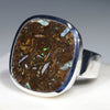 Natural Australian Opalized Wood Fossil