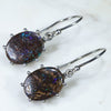 Australian Boulder Opal Matrix Silver Earrings (12mm x 11mm) Code - SE256