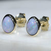 10k Gold- Solid Boulder Opal- Small Stud Design